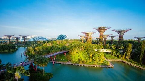 Singapore Gardens by the Bay Nature